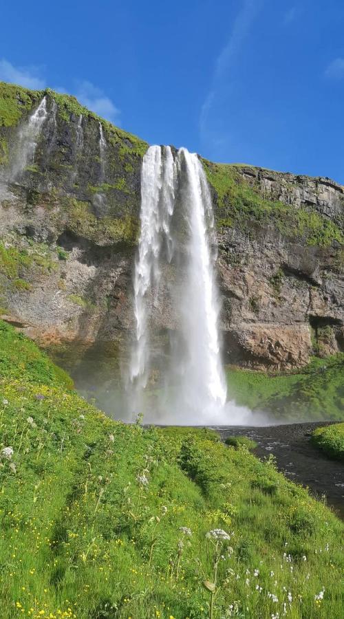 Selfoss Apartment Zewnętrze zdjęcie
